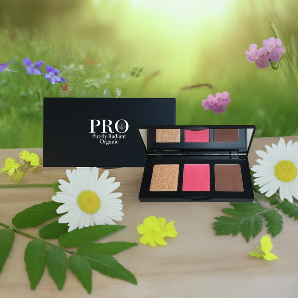 Pro Cheek Palette - Pop | Purely Radiant Organic